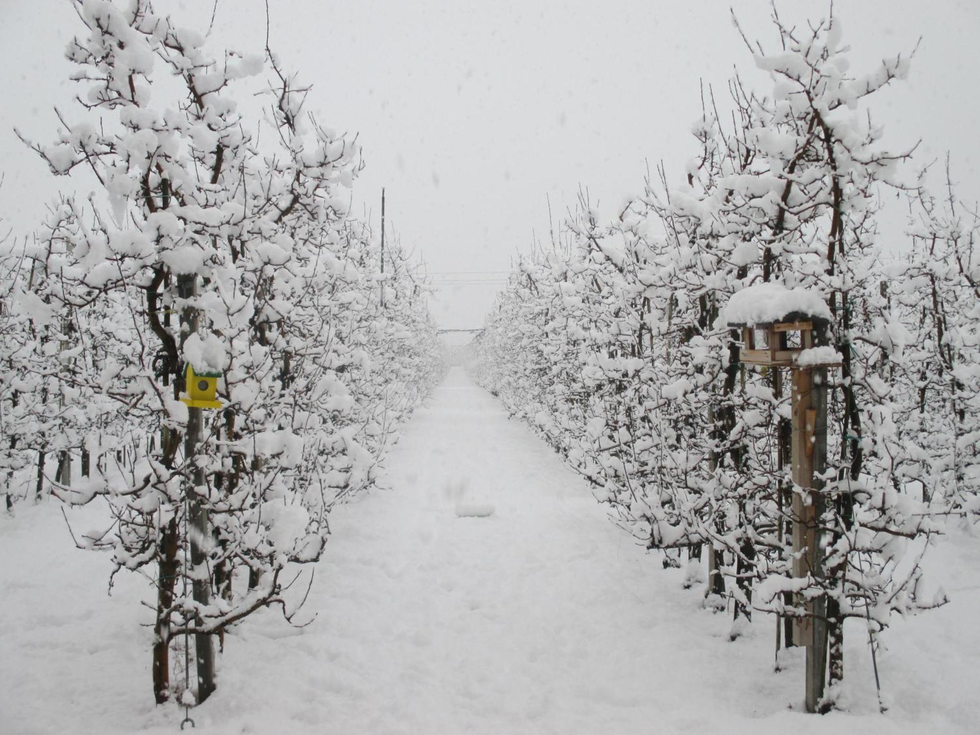 Garnhof Lägenhet Coldrano Exteriör bild